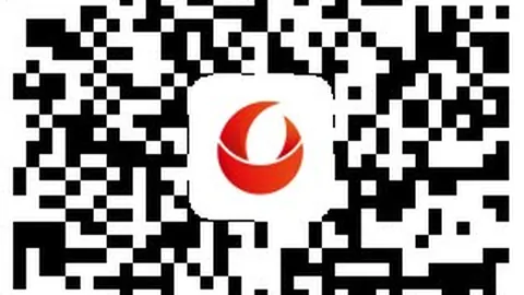 火箭澳门行趣味座位图大：20小时旅途，你想和谁并肩